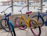 Free Bike Usage for Marina Members